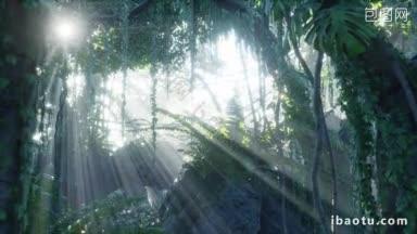 雨林里被明亮的绿色苔藓覆盖的图片